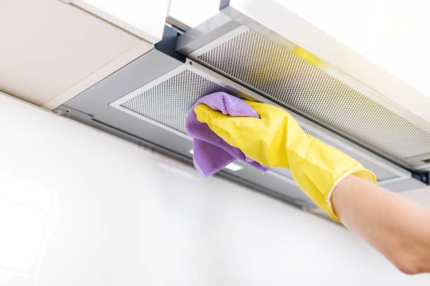 Best Professional Duct Cleaning Services  in Trowbridge Park, MI